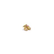 Charm scarpine