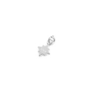 Charm rosa dei venti con zircone
