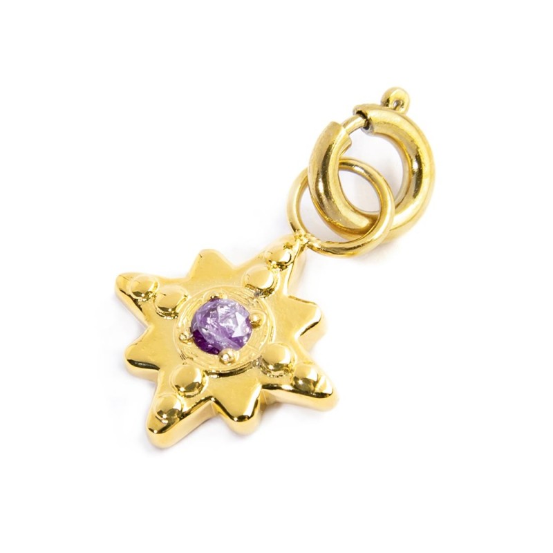 CHARM ROSA DEI VENTI CON CZ VIOLA