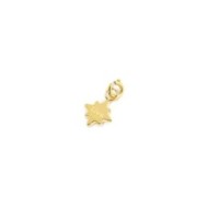 Charm rosa dei venti con zircone