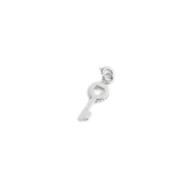 Charm chiave