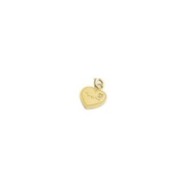 Charm maestra cuore