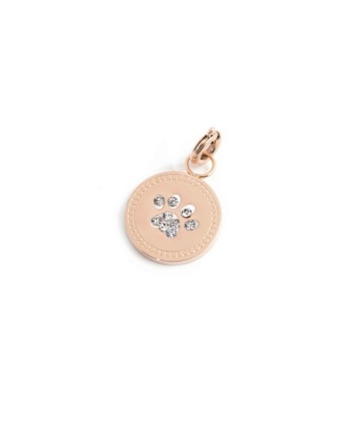Charm zampina con cristalli