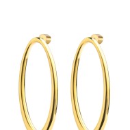 Orecchini con anello ovale