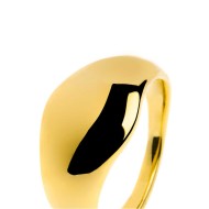 Anello a fascia larga bombata