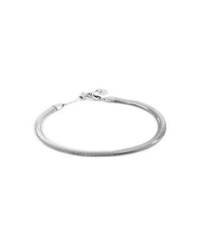 Cavigliera catena snake
