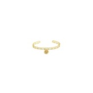 S.S.GOLD IP DOUBLE BANGLE WITH MEDAL S.steel gold ip double bangle size 57*48 mm, the first texture bangle is small balls and se