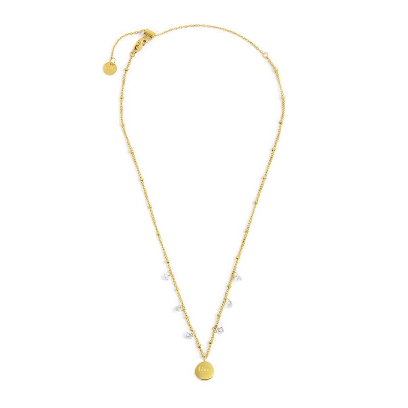 Collana medaglietta rosa dei venti pendente con zirconi