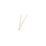 Collana medaglietta rosa dei venti pendente con zirconi