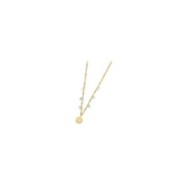 Collana medaglietta rosa dei venti pendente con zirconi
