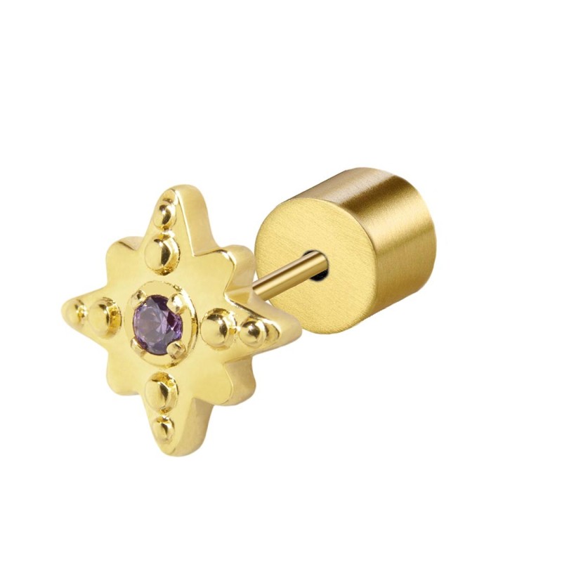 S.S. GOLD IP SINGLE EAR HEART WITH AMETHYST CZ STONE S.steel gold ip single earring with wind rose shape by stamping, size 7,50*