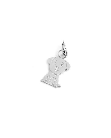 Charm cane