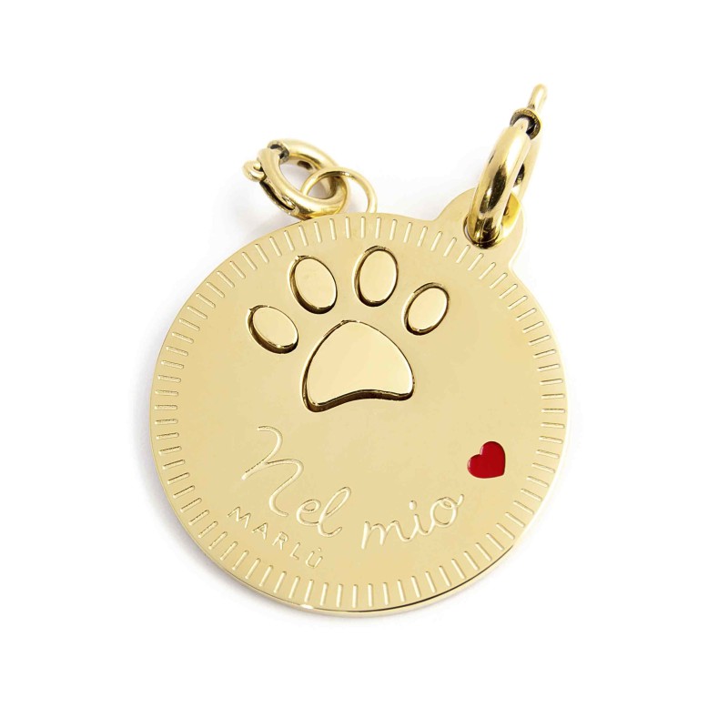 CHARM A FORMA DI ZAMPINA