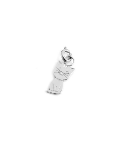 Charm gatto