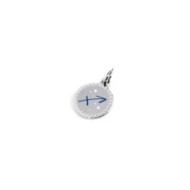 Charm zodiaco