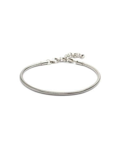 Cavigliera catena snake