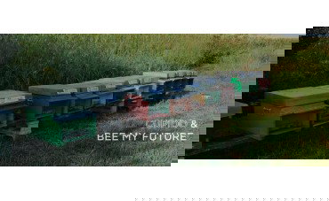 Marlù RicaricAmore - Missione Cupido a Taormina